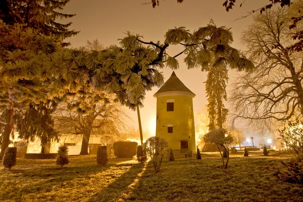 Vrbovec zimowa noc scena w parku — Zdjęcie stockowe