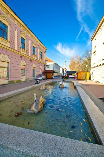 Miasto bjelovar fontanna kwadrat — Zdjęcie stockowe