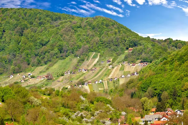 Pictoresco vinhedo colina em Zagorje — Fotografia de Stock