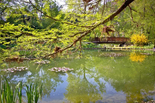 Jardín botánico lago vista de primavera — Foto de Stock