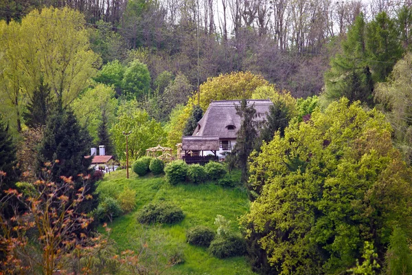 Cottage tetto di paglia nella natura — Foto Stock
