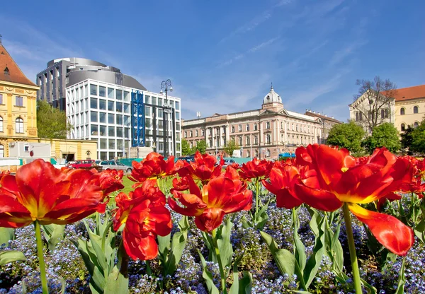 Zagreb colorida flora y arquitectura —  Fotos de Stock
