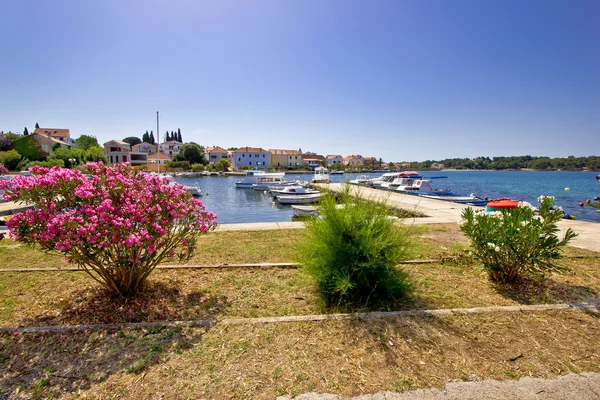 Adriático Ciudad de Petrcane waterfront — Foto de Stock