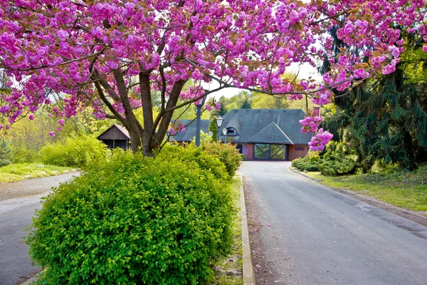 Colorfun nature view - old cottage — Stock Photo, Image