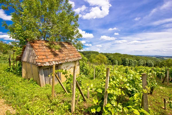 Lera stuga i hill vingård — Stockfoto