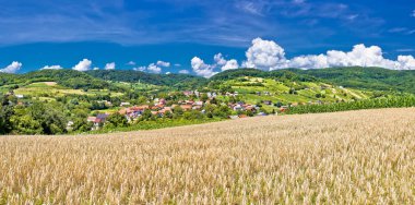 kalnik Dağı'nın pastoral tarım peyzaj