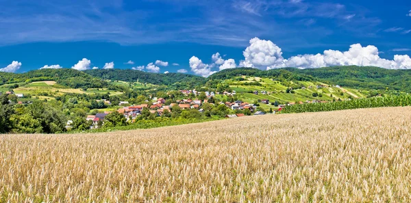 Idylliska odlingslandskap av kalnik bergkalnik 山の牧歌的な農業景観 — Stockfoto