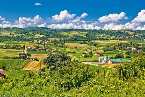 Vidéki termőföld zöld táj-Horvátország — Stock Fotó