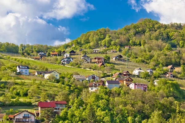 Zagorje kopce vinic a chaty — Stock fotografie