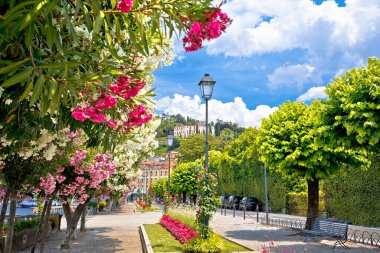 Lungolago Europa, İtalya 'nın Lombardiya bölgesindeki Como Lake kasabasında Belaggio' da göl kenarında ünlü bir çiçek geçidi.