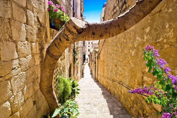 Dubrovnik Íngreme Estreita Vista Rua Colorida Destino Turístico Região Dalmácia — Fotografia de Stock