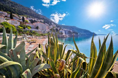 Hırvatistan 'ın Dalmaçya bölgesindeki tarihi Dubrovnik kenti ve sahil manzarası