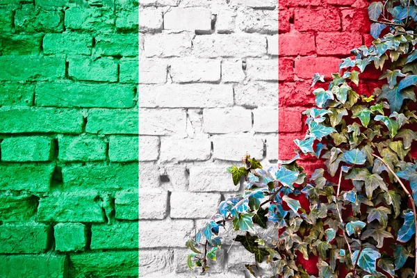 Italienische Grunge Flagge Auf Ziegelmauer Mit Efeu Pflanze Ländersymbolkonzept Von — Stockfoto