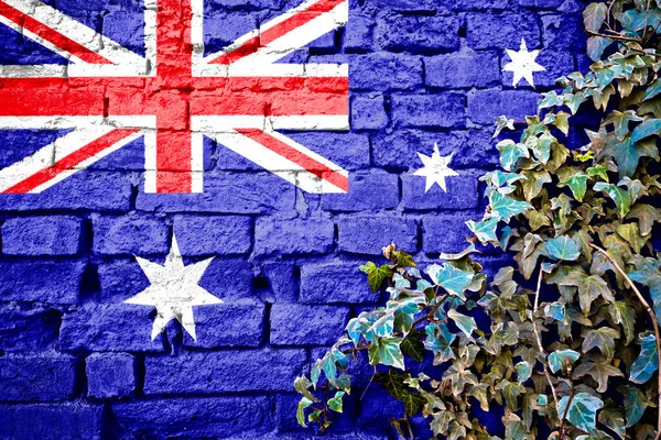 Bandera Grunge Australiana Pared Ladrillo Con Planta Hiedra Concepto Símbolo — Foto de Stock