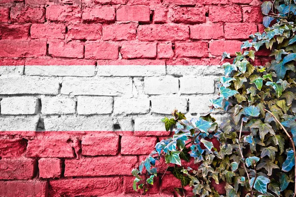 Rakouská Vlajka Grunge Cihlové Zdi Břečťanem Koncept Symbolu Země Rakouska — Stock fotografie