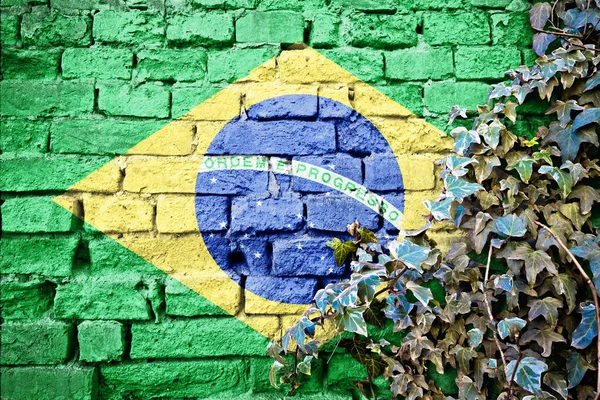 Brasil grunge flag on brick wall with ivy plant, country symbol concept