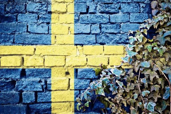 Bandera Grunge Sueca Pared Ladrillo Con Planta Hiedra Concepto Símbolo —  Fotos de Stock