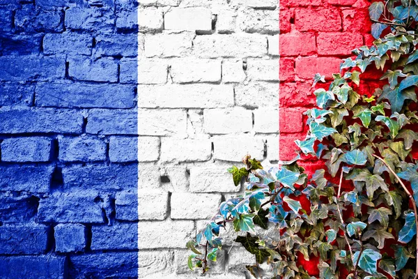 以常春藤植物为代表的砖墙上的法国白旗 法国国徽概念 — 图库照片