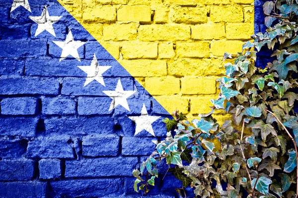 Flaga Grunge Bośni Hercegowiny Ceglanym Murze Bluszczem Koncepcja Symbolu Kraju — Zdjęcie stockowe