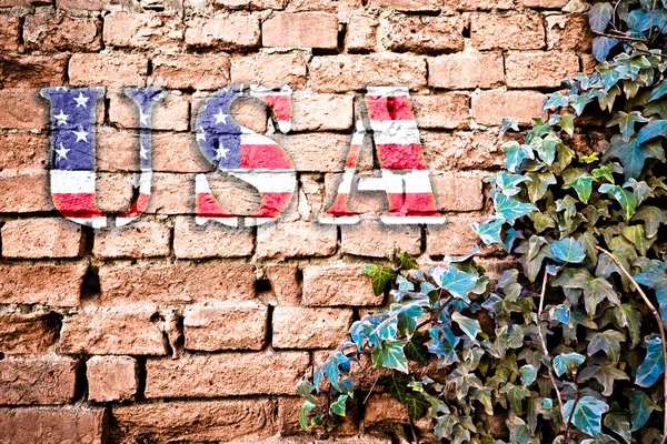 United States Grunge Flag Label Brick Wall Ivy Plant Country — Fotografia de Stock