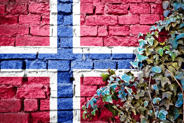 Bandeira Grunge Norueguesa Parede Tijolo Com Planta Hera Conceito Símbolo — Fotografia de Stock