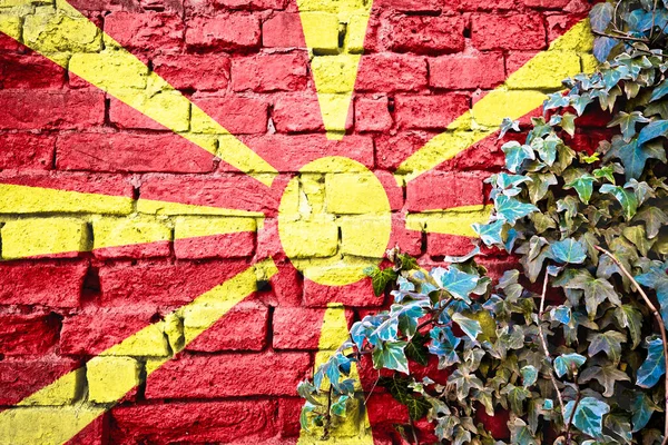 Drapeau Grunge Macédoine Nord Sur Mur Briques Avec Plante Lierre — Photo