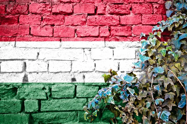 Ungarische Grunge Flagge Auf Ziegelmauer Mit Efeu Pflanze Ländersymbolkonzept Der — Stockfoto