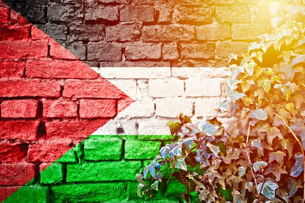 Palästina Grunge Flagge Auf Ziegelmauer Mit Efeu Pflanze Sonnendunst Blick — Stockfoto