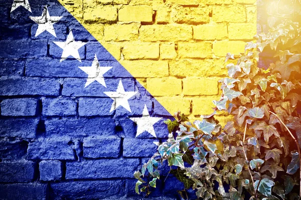 波斯尼亚和黑塞哥维那绿树成荫 国徽概念 挂在砖墙上的波斯尼亚和黑塞哥维那白旗 — 图库照片