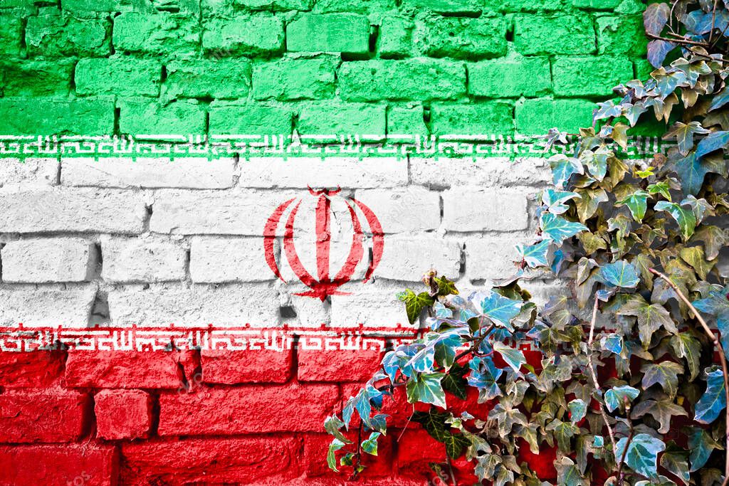 Iranian grunge flag on brick wall with ivy plant, country symbol concept of Ira