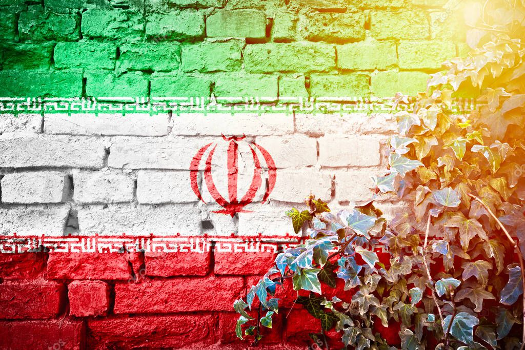 Iranian grunge flag on brick wall with ivy plant sun haze view, country symbol concept of Ira