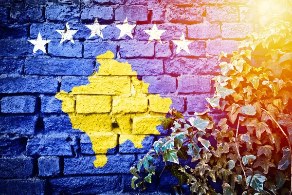 Kosovo Grunge Vlag Bakstenen Muur Met Klimop Plant Zon Nevel — Stockfoto