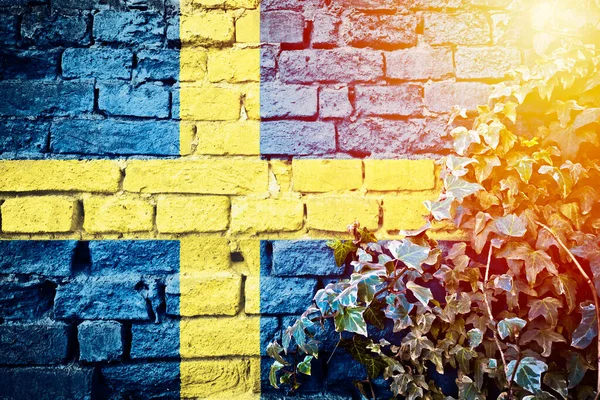 Suécia Bandeira Grunge Parede Tijolo Com Hera Planta Sol Neblina — Fotografia de Stock
