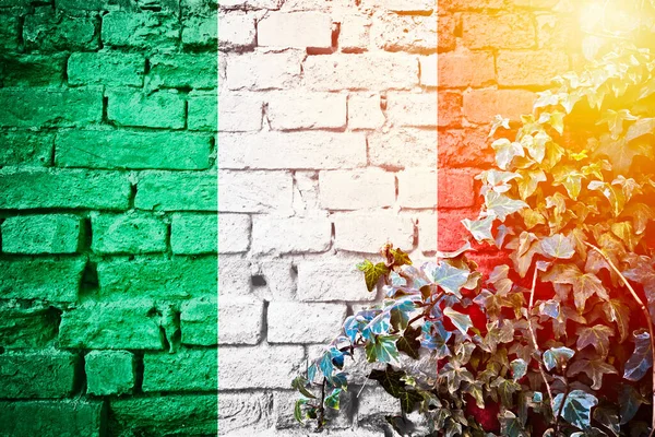 Italien Grunge Flagge Auf Ziegelmauer Mit Efeu Pflanze Sonnendunst Blick — Stockfoto