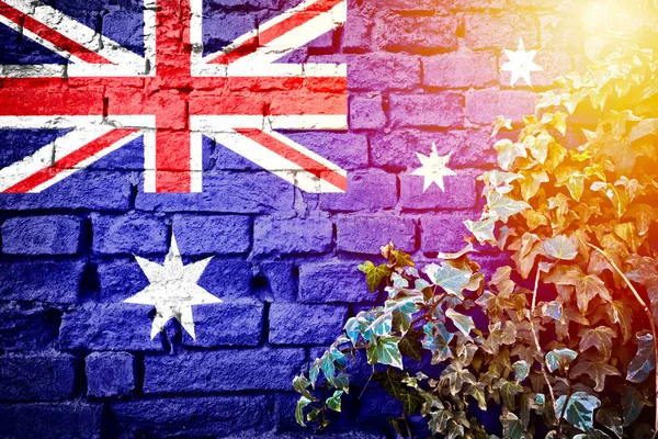 Australia Grunge Bandera Pared Ladrillo Con Hiedra Planta Sol Neblina — Foto de Stock