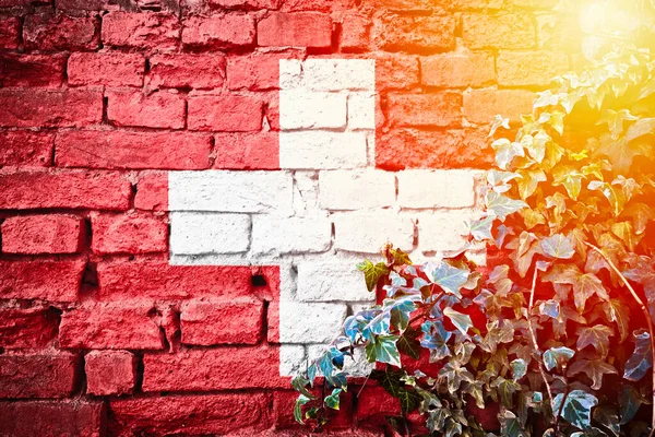 Zwitserland Grunge Vlag Bakstenen Muur Met Klimop Plant Zon Nevel — Stockfoto