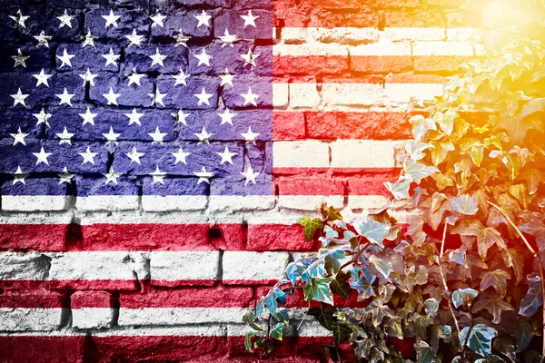 United States Grunge Flag Brick Wall Ivy Plant Haze View — Stock fotografie