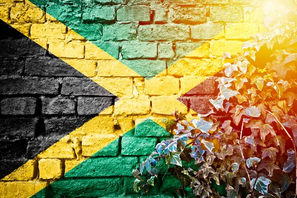 Jamaica Grunge Flagge Auf Ziegelmauer Mit Efeu Pflanze Sonnendunst Blick — Stockfoto