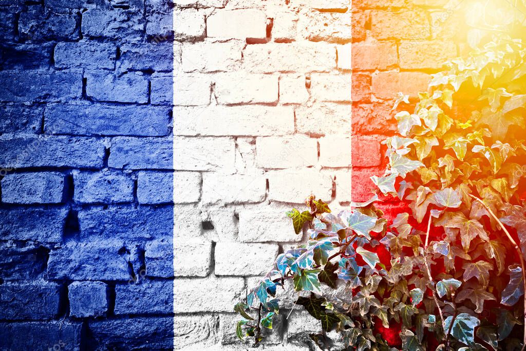 France grunge flag on brick wall with ivy plant sun haze view, country symbol concept