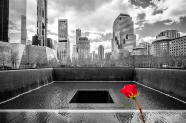 New York City Sıfır Noktası. Kırmızı gül, Amerika Birleşik Devletleri.