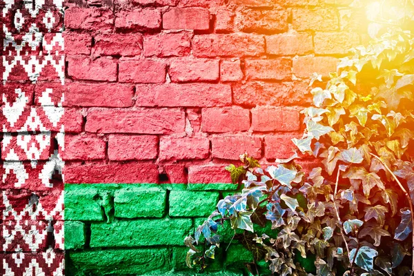 Bielorrússia Grunge Bandeira Parede Tijolo Com Hera Planta Sol Neblina — Fotografia de Stock