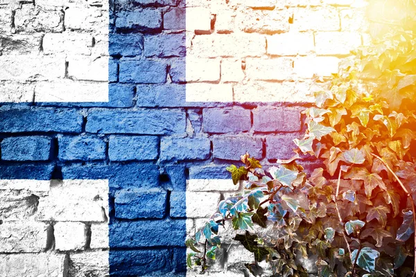 Finland Grunge Flag Brick Wall Ivy Plant Sun Haze View — Fotografia de Stock