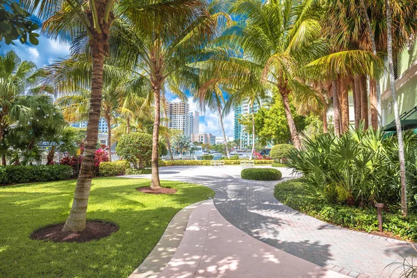 Fort Lauderdale Green Waterfront Park Walkway View South Florida United — ストック写真