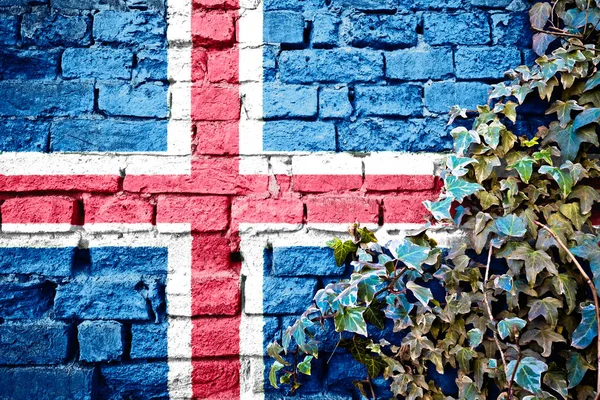 Iceland Grunge Flag Brick Wall Ivy Plant Country Symbol Concept — Fotografia de Stock