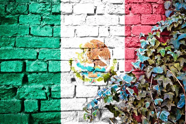 Mexico Grunge Flag Brick Wall Ivy Plant Country Symbol Concept — Foto de Stock
