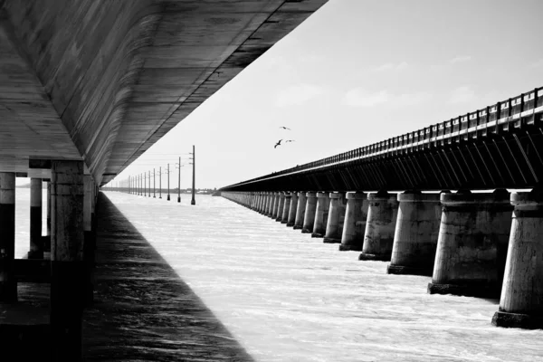 Seven Mile Bridges Old New Marathon Black White View Route — Foto de Stock