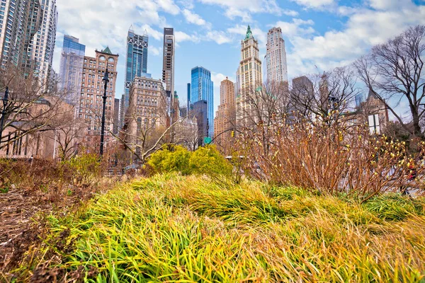 New York City Downtown Green Park View United States America — Stockfoto