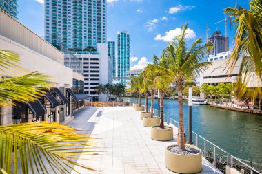 Miami nehri kıyısı gökdelenleri, Florida eyaleti, ABD