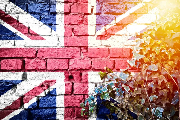 UK grunge flag on brick wall with ivy plant sun haze view, country symbol concept