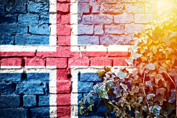 Iceland grunge flag on brick wall with ivy plant sun haze view, country symbol concept